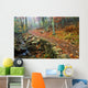 Path Through Forest, Shenandoah National Park, Virginia, Usa Wall Mural