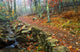 Path Through Forest, Shenandoah National Park, Virginia, Usa Wall Mural