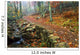 Path Through Forest, Shenandoah National Park, Virginia, Usa Wall Mural