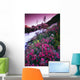 Wildflowers, Bugaboo Provincial Park, British Columbia, Canada Wall Mural
