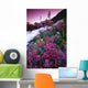 Wildflowers, Bugaboo Provincial Park, British Columbia, Canada Wall Mural