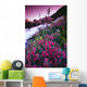 Wildflowers, Bugaboo Provincial Park, British Columbia, Canada Wall Mural