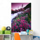 Wildflowers, Bugaboo Provincial Park, British Columbia, Canada Wall Mural