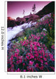 Wildflowers, Bugaboo Provincial Park, British Columbia, Canada Wall Mural