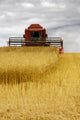 Combine Harvester, North Yorkshire, England Wall Mural