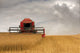 Combine Harvester, North Yorkshire, England Wall Mural