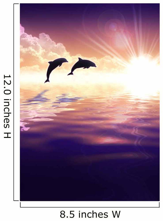 Dolphin and sunset Wall Mural