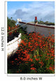 Flowers In Wooden Boat In Roundstone, Galway, Ireland Wall Mural