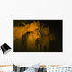 Lions At Night Wall Mural