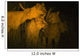 Lions At Night Wall Mural