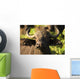 African Buffalo Wall Mural