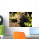 African Buffalo Wall Mural