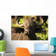 African Buffalo Wall Mural