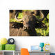 African Buffalo Wall Mural