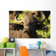 African Buffalo Wall Mural