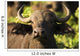 African Buffalo Wall Mural