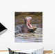Yawning Hippopotamus At Serengeti National Park, Tanzania Wall Mural