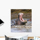 Yawning Hippopotamus At Serengeti National Park, Tanzania Wall Mural