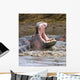Yawning Hippopotamus At Serengeti National Park, Tanzania Wall Mural