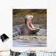 Yawning Hippopotamus At Serengeti National Park, Tanzania Wall Mural