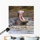 Yawning Hippopotamus At Serengeti National Park, Tanzania Wall Mural