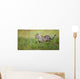 Cheetah Wall Mural