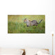 Cheetah Wall Mural