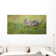 Cheetah Wall Mural