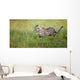 Cheetah Wall Mural