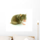 Hamster