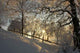 Morgensonne Wall Decal