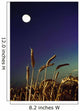 Wheat Field At Night Under The Moon Wall Mural