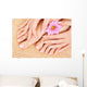 care for beautiful woman legs Wall Mural