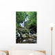 Torc Waterfall, Killarney National Park, County Kerry, Ireland Wall Mural