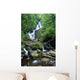 Torc Waterfall, Killarney National Park, County Kerry, Ireland Wall Mural