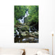Torc Waterfall, Killarney National Park, County Kerry, Ireland Wall Mural