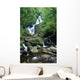 Torc Waterfall, Killarney National Park, County Kerry, Ireland Wall Mural