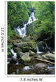 Torc Waterfall, Killarney National Park, County Kerry, Ireland Wall Mural