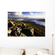 Rocky Vista Of Shoreline Wall Mural