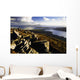 Rocky Vista Of Shoreline Wall Mural