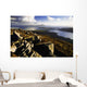 Rocky Vista Of Shoreline Wall Mural