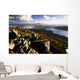 Rocky Vista Of Shoreline Wall Mural
