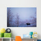 Buffalo In Snowy Woods Wall Mural