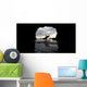 Surfer Inside A Cave At Muriwai New Zealand Wall Mural