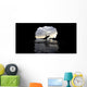 Surfer Inside A Cave At Muriwai New Zealand Wall Mural