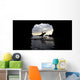 Surfer Inside A Cave At Muriwai New Zealand Wall Mural