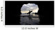 Surfer Inside A Cave At Muriwai New Zealand Wall Mural