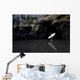 Surfer Inside A Cave At Muriwai, New Zealand Wall Mural