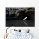 Surfer Inside A Cave At Muriwai, New Zealand Wall Mural