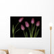 Pink Tulips Wall Mural